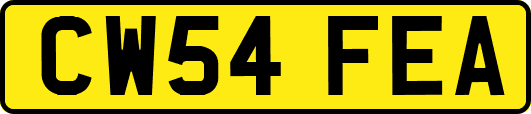 CW54FEA
