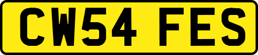 CW54FES