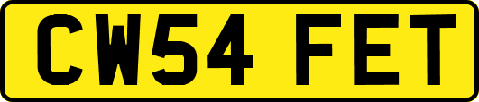 CW54FET