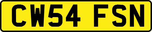CW54FSN