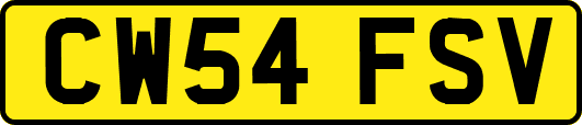 CW54FSV
