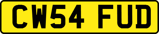 CW54FUD