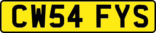 CW54FYS