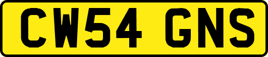 CW54GNS