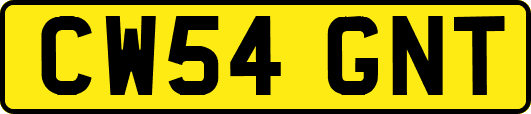 CW54GNT