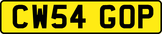 CW54GOP
