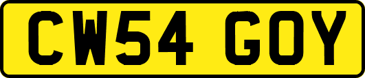 CW54GOY