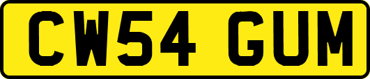 CW54GUM
