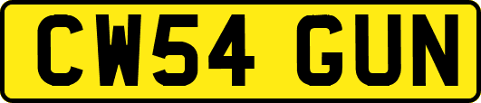 CW54GUN