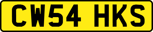 CW54HKS