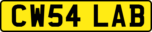 CW54LAB