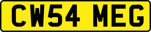 CW54MEG
