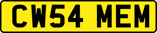 CW54MEM