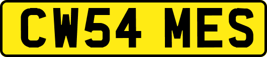 CW54MES