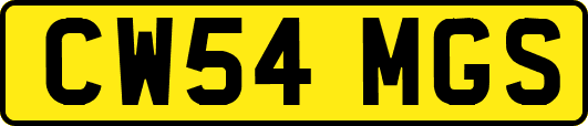 CW54MGS
