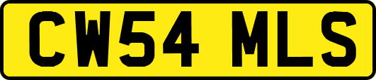CW54MLS