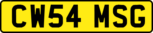 CW54MSG