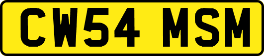 CW54MSM