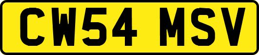 CW54MSV
