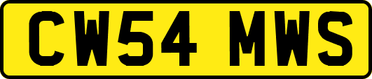 CW54MWS