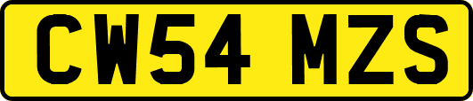 CW54MZS