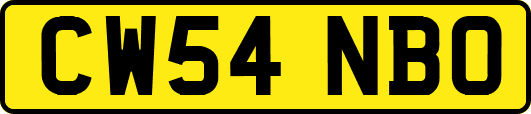 CW54NBO