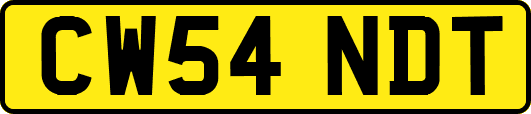 CW54NDT