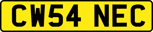 CW54NEC