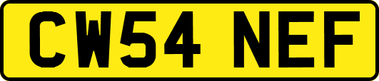 CW54NEF