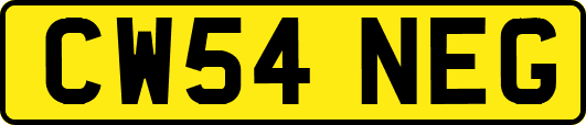 CW54NEG