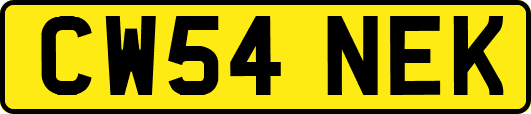 CW54NEK