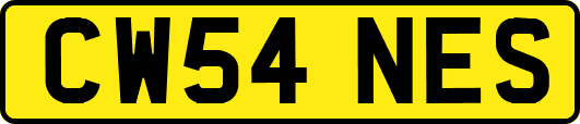 CW54NES
