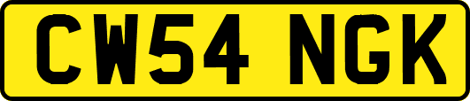 CW54NGK