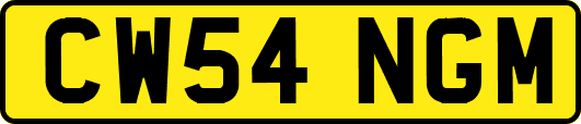 CW54NGM
