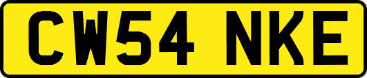 CW54NKE