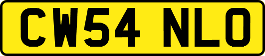 CW54NLO