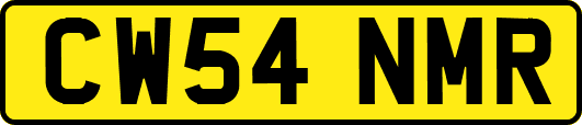 CW54NMR