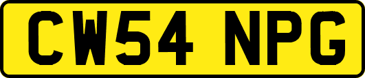 CW54NPG