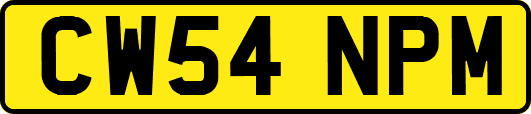 CW54NPM