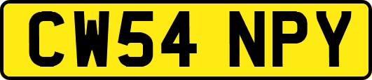 CW54NPY