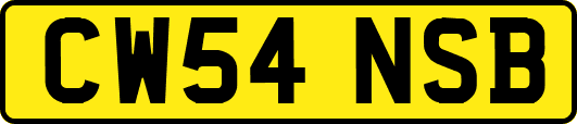CW54NSB