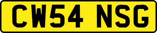 CW54NSG