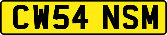 CW54NSM