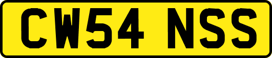CW54NSS