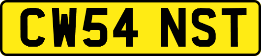 CW54NST