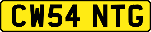 CW54NTG