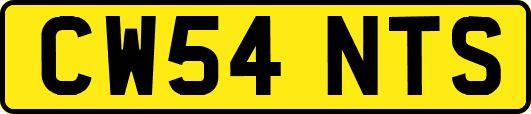 CW54NTS