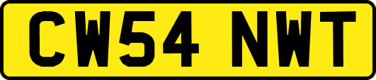 CW54NWT