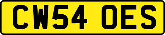 CW54OES