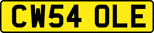 CW54OLE
